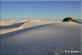 Großflächige Dünenlandschaft